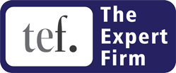 The Expert Firm